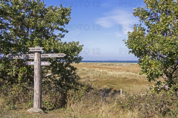 Signpost, Birk-Nack, Geltinger Birk nature reserve, Nieby, Schleswig-Holstein, Germany