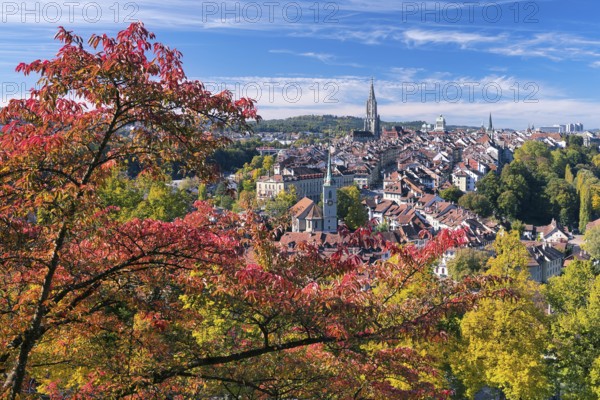 View of Bern's old town with colourful cherry trees, UNESCO World Heritage Site, Canton of Bern, Switzerland