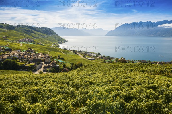 Picturesque village in the vineyards by the lake, Epesses, Lavaux, UNESCO World Heritage Site, Lake Geneva, Lac Léman, Canton of Vaud, Switzerland