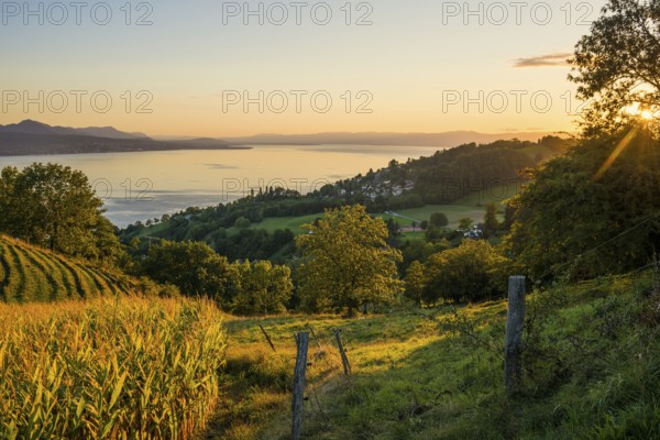 Panorama, Lake and mountains, Tour-de-Gourze, Riex, Sunset, Lavaux, UNESCO World Heritage Site, Lake Geneva, Lac Léman, Canton of Vaud, Switzerland