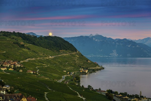 Picturesque village in the vineyards by the lake, Epesses, sunset, full moon, Lavaux, UNESCO World Heritage Site, Lake Geneva, Lac Léman, Canton of Vaud, Switzerland