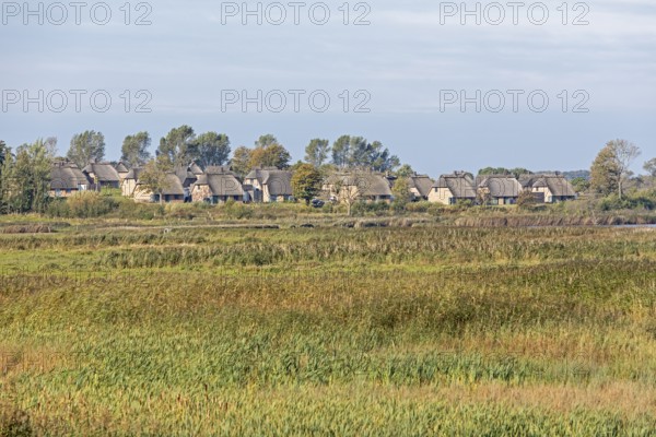Holiday village Reetdorf Geltinger Birk, Geltinger Birk nature reserve, Geltinger Bucht, Schleswig-Holstein, Germany