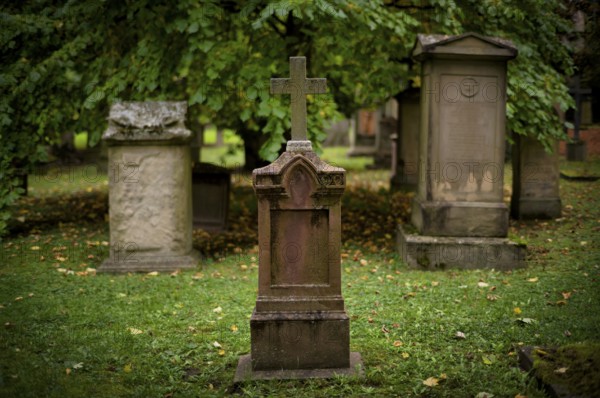 Gravestones, grave, graves, Hoppenlauf cemetery, oldest preserved cemetery in Stuttgart, autumn leaves, autumn, autumnal, Baden-Württemberg, Germany