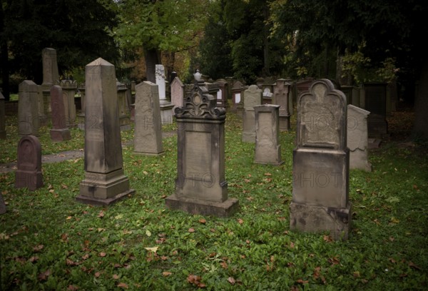 Gravestones, grave, graves, Israelite, Jewish cemetery, Hoppenlauf cemetery, oldest preserved cemetery in Stuttgart, autumn leaves, autumn, autumnal, Baden-Württemberg, Germany