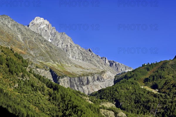 Aiguille du Chardonnet, front foothills of the Argentière glacier, Argentière, Chamonix-Mont-Blanc, Haute-Savoie, France