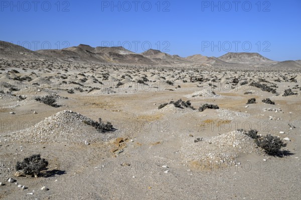 Diamond mining mound in the desert sand at the beginning of the 20th century, Pomona, restricted diamond area, near Lüderitz, Karas region, Namibia