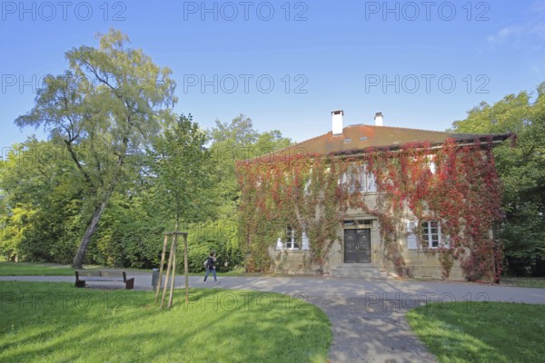 Buildings with ivy in autumn, autumn colours, plant growth, Fürstengarten, Hechingen, Swabian Alb, Baden-Württemberg, Germany