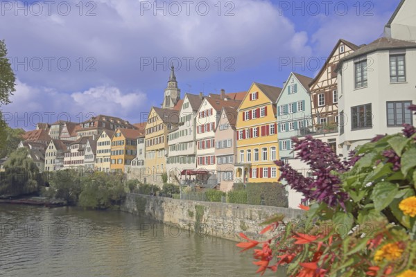Colourful house front on the Neckar, house facade, Neckar bank, Neckar front, flower decoration, Eberhardsbrücke, Tübingen, Neckartal, Baden-Württemberg, Germany