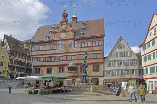 Renaissance town hall with Neptune fountain, market stall and pedestrians, Am Markt, Tübingen, Neckartal, Baden-Württemberg, Germany