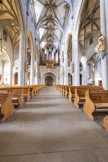 Impressive nave with organ and symmetrically arranged wooden benches under a vaulted ceiling, St Nicholas Minster, Überlingen, Lake Constance, Germany