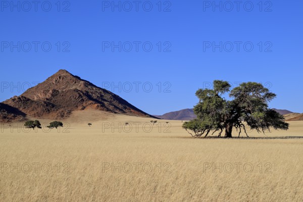 Landscape on the Kanaan farm of the nature conservation organisation Naankuse, Tirasberge, Karas region, Namibia