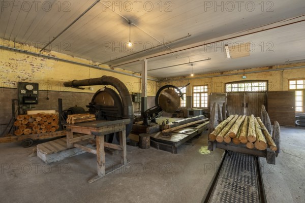 Historic circular saws and tree trunks, former paper factory and mill for the production of groundwood pulp board, UNESCO World Heritage Site Verla Factory Village, Maailmanperintökohde Verlan puuhiomo ja pahvitehdas, Verla Rapids, Kymenlaakso, near Kouvola, Finland