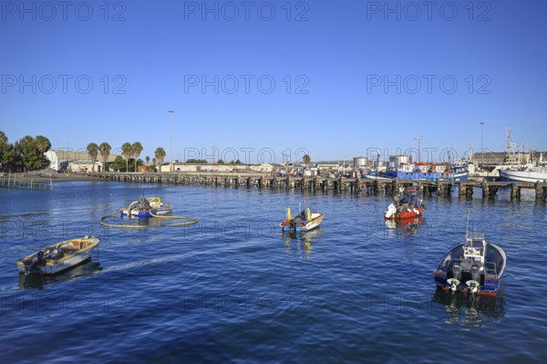 Fishing boats in the harbour, Robert Harbour, Lüderitz, Karas Region, Namibia