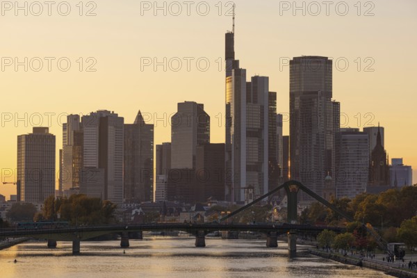 The trees on the banks of the River Main glow with autumnal colour in the light of the evening sun, Frankfurt am Main, Hesse, Germany