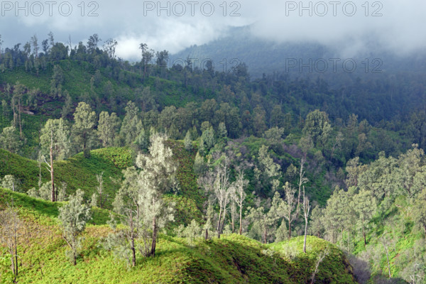 Landscape volcano Ijen, Indonesia