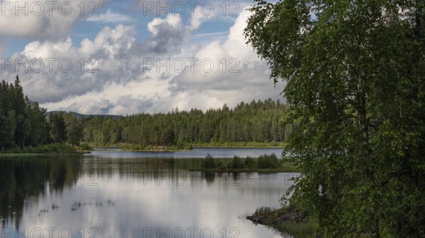Quiet forest lake, Eidsvoll, Akershus, Norway