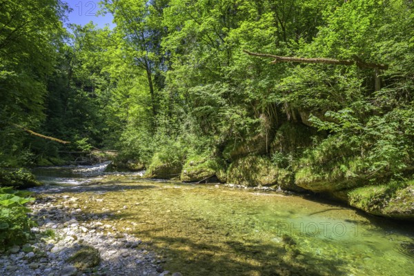 Wanderung entlang der Krummen Steyrling, Molln, Oberösterreich, Österreich