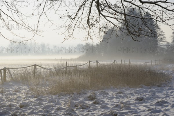 Winterlandschaft, aufsteigender Bodennebel im Licht der Morgensonne, Nordrhein-Westfalen, Deutschland