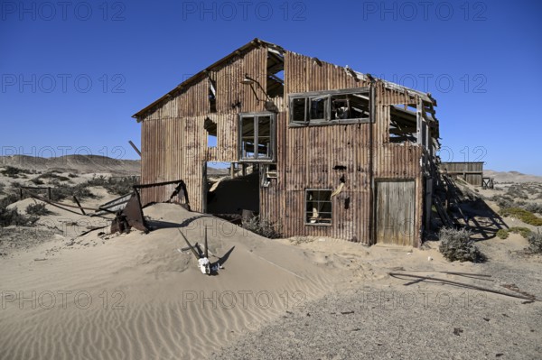 Schädel einer Oryx-Altilope (Oryx gazella) vor einer Ruine der ehemaligen Diamantenstadt Pomona, Diamentensperrgebiet, bei Lüderitz, Region Karas, Namibia