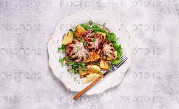 Grilled octopus with baked potatoes and fresh herbs, on a decorative light plate, homemade, no people