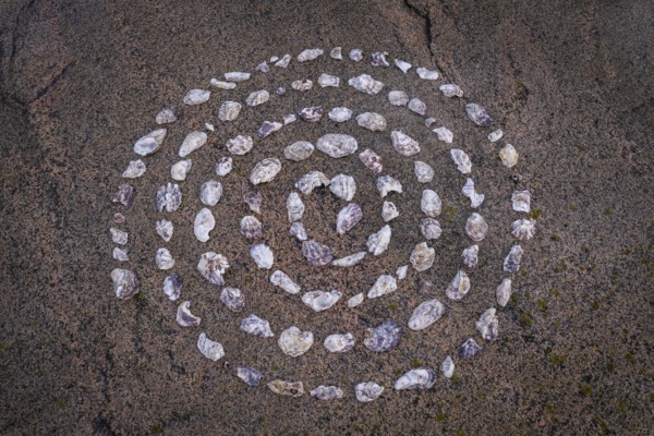 Shell mandala, circle made of shells on a granite rock, Bohus granite, Resö island, Bohuslän, Skagerrak, Sotenäs, Västra Götalands län, Sweden