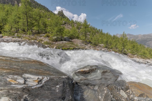 A rushing river cascades over smooth stones, surrounded by lush green trees and majestic mountains. The bright blue sky adds to the peaceful summer atmosphere. Grachen, Viege, Valais, Swiss