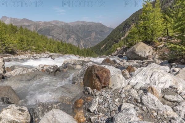 A calm river cascades over smooth stones, surrounded by a lively forest and majestic mountains in the distance. The peaceful atmosphere invites you to relax and admire nature. Grachen, Viege, Valais, Swiss