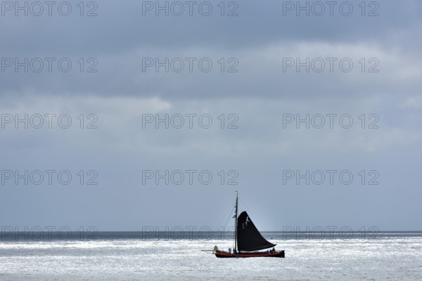 Sailing ship on the Wadden Sea, Texel, West Frisian Islands, North Holland, Netherlands