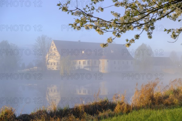 Morning atmosphere, fog at the Fischhof, Tirschenreuth, Upper Palatinate, Bavaria, Germany