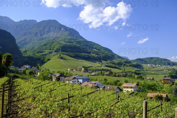 View over Tramin, South Tyrolean Wine Road, South Tyrol, Italy