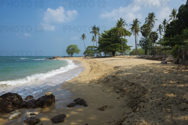 Sandy beach beach and coconut palms, Secret Beach, Sala Dan, Ko Lanta, Koh Lanta, Krabi Province, Southern Thailand, Andaman Sea, Thailand