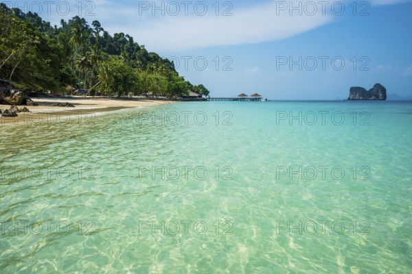 White sandy beach and coconut palms, Sunrise Beach, Koh Great white shark, Ko Ngai, Krabi Province, Trang, Southern Thailand, Andaman Sea, Thailand