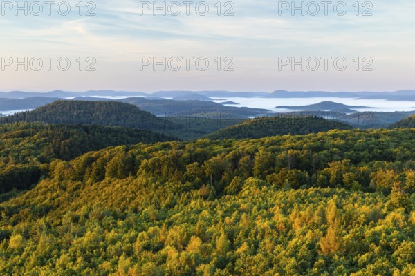 View over the Palatinate Forest, mixed forest, dawn, fog, Luipoldsturm, Hermansbergdorf, Pfläzerwald, Rhineland-Palatinate, Germany