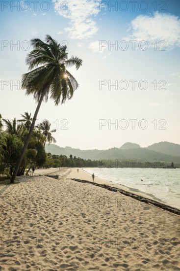 White sandy beach and coconut palms, Pearl Beach, Koh Mook, Trang Province, Southern Thailand, Andaman Sea, Thailand