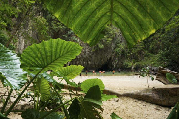 Sandy beach beach with cave in the rainforest, Emerald Cave, Koh Mook, Trang Province, Southern Thailand, Andaman Sea, Thailand