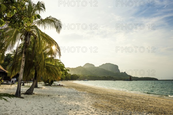 White sandy beach and coconut palms, sunset, Pearl Beach, Koh Mook, Trang Province, Southern Thailand, Andaman Sea, Thailand