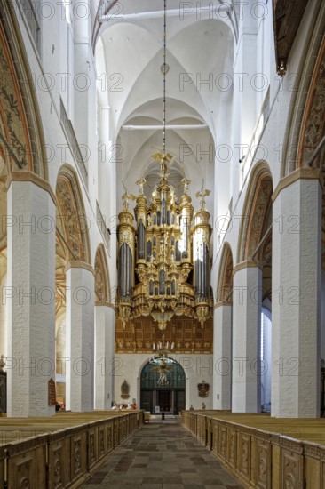 Nave, choir with pews and organ, St Mary's Church, also known as St Mary's Church, basilica, late Gothic, three naves with transept, first mentioned in 1298, Neuer Markt, Old Town, UNESCO World Heritage Site, Hanseatic City of Stralsund, Mecklenburg-Western Pomerania, Germany