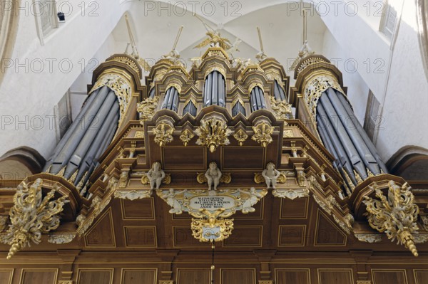 Stellwagen organ, built 1653-1659 by Friedrich Stellwagen, Baroque, St Mary's Church, also known as St Mary's Church, basilica, late Gothic, three naves with transept, first mentioned in 1298, 104 metre high church tower with a view, Neuer Markt, Old Town, UNESCO World Heritage Site, Hanseatic City of Stralsund