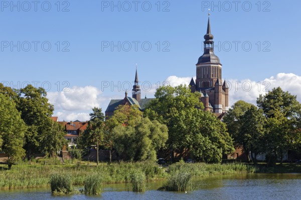 In front Knieperteich, behind, St. Mary's Church, also known as Marienkirche, basilica, late Gothic, three naves with transept, first mentioned in 1298, 104 metre high church tower with view, Neuer Markt, Old Town, UNESCO World Heritage Site, Hanseatic City of Stralsund, Mecklenburg-Western Pomerania, Germany