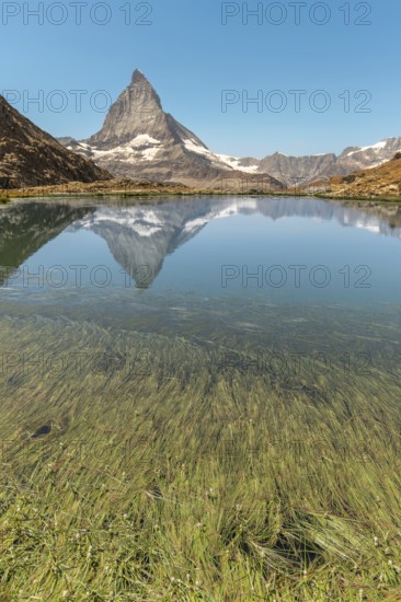 The sharp peak of Matterhorn rises majestically above a serene alpine lake, reflecting perfectly on the still water. The lush green of the grass lines the shoreline in this beautiful landscape. Zermatt, Valais, Alps, Swiss