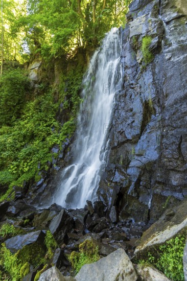 Vaucoux waterfall cascades gracefully over dark rocks, surrounded by lush greenery, Auvergne Volcanoes Regional Park, Puy de Dome., Auvergne-Rhone-Alpes, France
