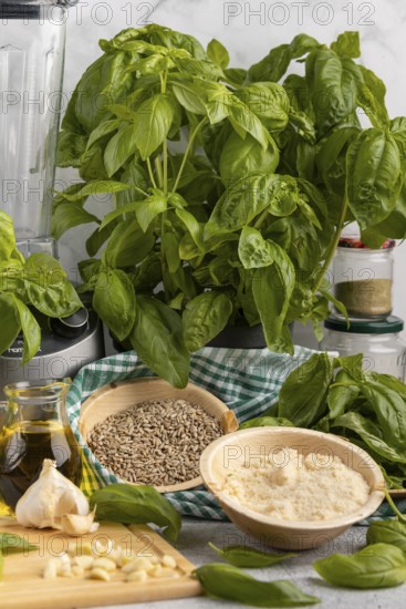 Basil next to a blender, with bowls full of pesto ingredients such as sunflower seeds, garlic and Parmesan cheese