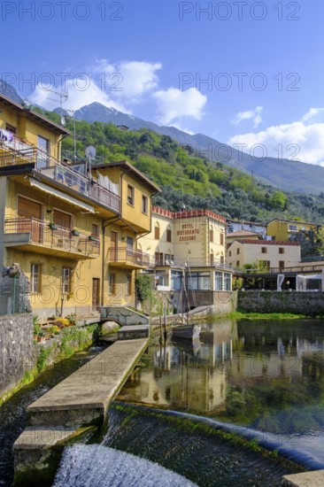 Aril, the shortest river in the world, Cassone di Malcesine, Lake Garda, Veneto, Italy