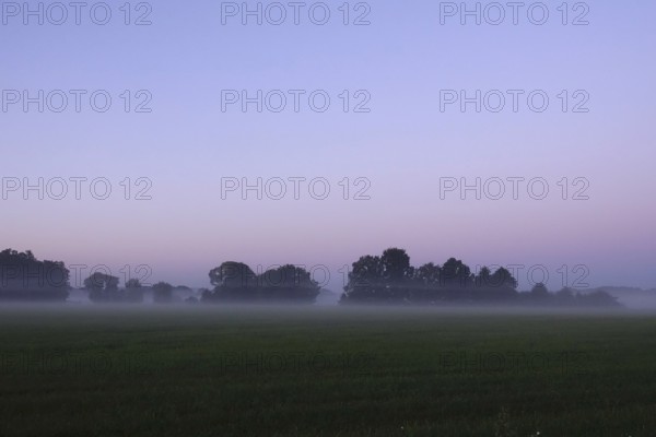 Landscape with morning fog, Summer, Saxony, Germany
