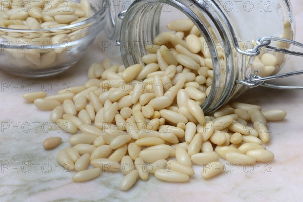 Pine nuts in glass containers, Pinus pinea