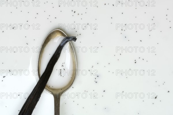 Spoon with vanilla pod, vanilla seeds in milk