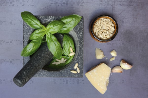 Ingredients for basil pesto, pesto alla genovese