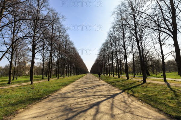 Walkers in the lime tree avenue, beginning scilla blossom, sunny weather, Hanover, Germany
