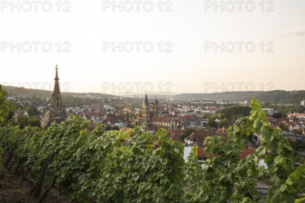 Sunrise over the vineyards of Esslingen am Neckar