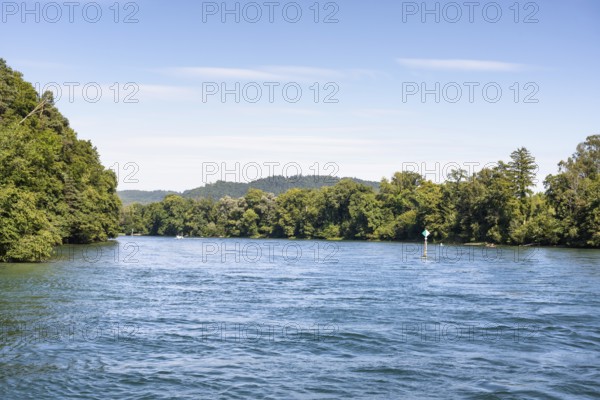View over the Rhine, High Rhine surrounded by forests, Canton Thurgau, Switzerland